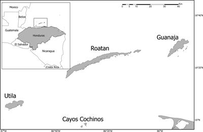 Evaluating the spread of stony coral tissue loss disease in the Bay Islands, Honduras